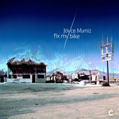 PREMIERE: Joyce Muniz - Fix My Bike (Till Von Sein Remix) [Culprit]