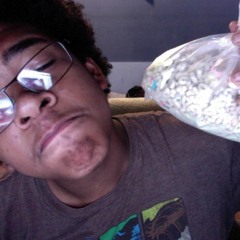 Lucky Charms