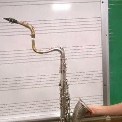 Donna Lee played on the Threeneckxophone!!!!