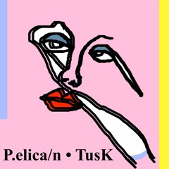 Pelican Tusk -  Seagulls