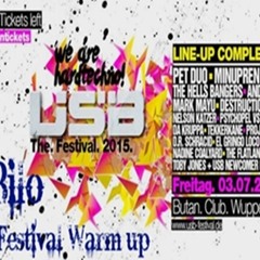 DIeBilo @ USB Festival 2015 Warm up