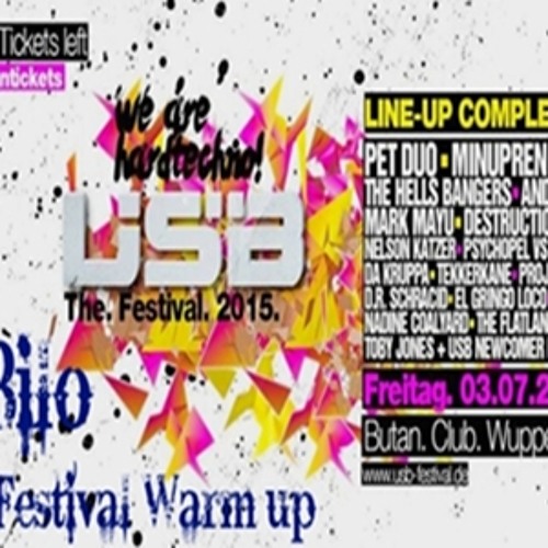 DIeBilo @ USB Festival 2015 Warm up