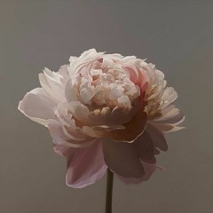 // Waterflower //