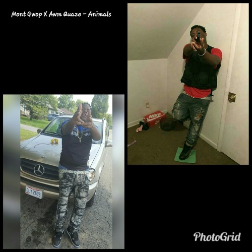 Mont Gwop X Awm Quaze - Animals