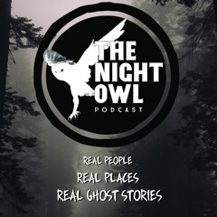 EP 0: The Night Owl Podcast Trailer