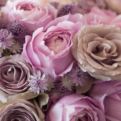 Age of Consent (Commensalism Version) (New Order cover)