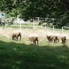 Fragment 07 (from "de - the interpreted fragments of ghostpia")