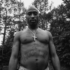 2Pac - Revenge Is Coming