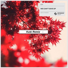 EDX - We Can't Give Up ft. Tom Gregory (KUBI Remix)
