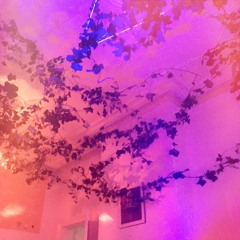 Aucun Alias X Imax live at Another House Party for Good Nature