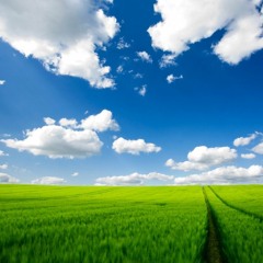 Cosmo Max - Kopf Ausschalten