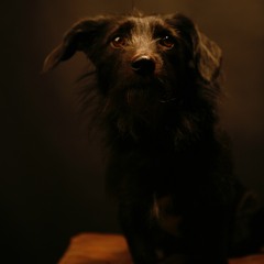 Kia Homerecording Summer 2017