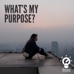What's my purpose?