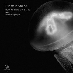 Plasmic Shape - Now we have the Salad (incl. Matthias Springer Remix)