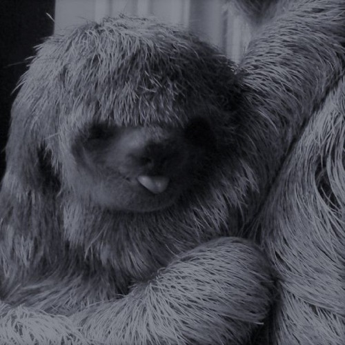 ~ Mystiq~  Have a Nice Lazy SlothSunday.. ;)