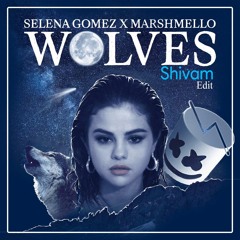Selana Gomez X Marshmello - Wolves (Shivam Edit)