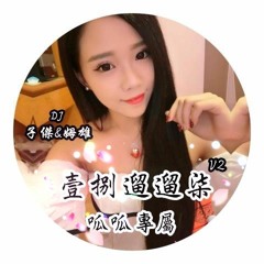 【2017 壹捌遛遛柒v2 - 呱呱專屬# - DJ子傑&DJ姆雄】