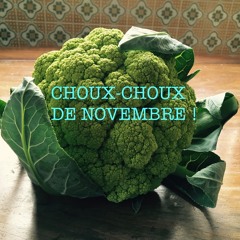 Choux-Choux de Novembre ! 🙂