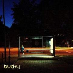 Bucky - found