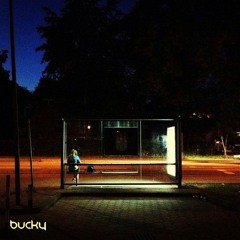 Bucky 'You Gotta Go There To Come Back' 2017 Album Mix