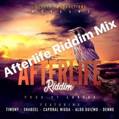 Afterlife Riddim Mix | Dancehall 2017 | Redkamp Productions®