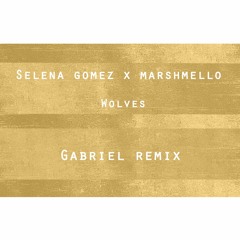 Selena Gomez X Marshmello - Wolves (Gabriel Remix)