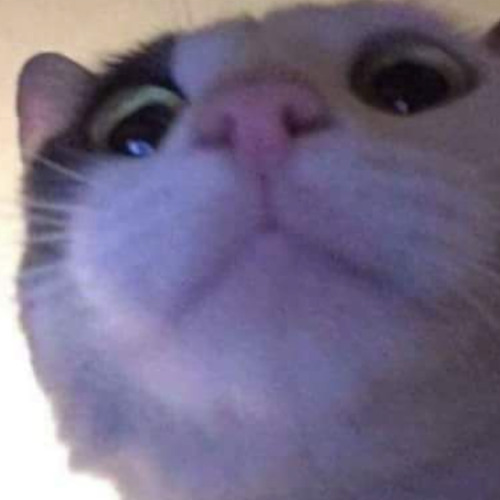 asdasdssssssssssssssssssaaaaaaaaaaaaaaaaaaaaaaaaaaaaaasdasdsaddsa