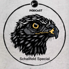 Grossstadtvögel Podcast Schallfeld Special