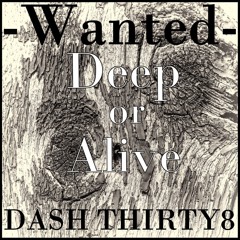 DASH THIRTY8 - Wanted Deep or Alive (Original Mix)