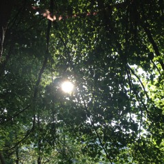 Kuwaté (Sonnendank)