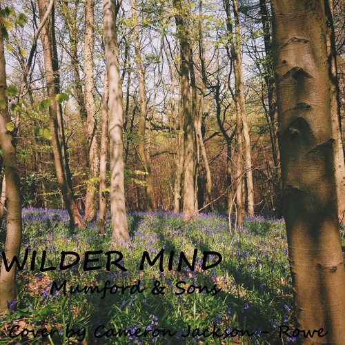 Wilder Mind - Mumford & Sons [Cover]