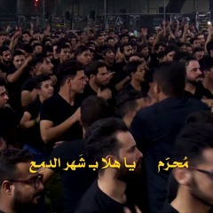 شهر الدمع | الرادود باسم الكربلائي