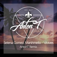 Selena Gomez, Marshmello - Wolves (AntonT Remix)