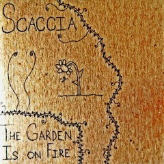 Everything I Told You Doesn't Matter