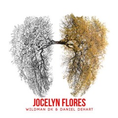 Jocelyn Flores (Remix) WIldman DK & Daniel Dehart