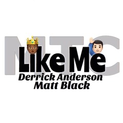 Like Me Feat. Matt Black