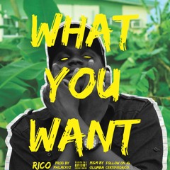 What You Want [Prod by Phil Mckeyz ]