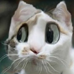 sssssssssssssssssssssssssssssssssdasdasdasdsaddsa