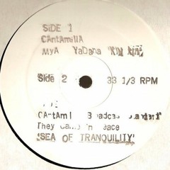 Tranquility Bass - Mya Yadana (Petko Turner Edit) Free DL