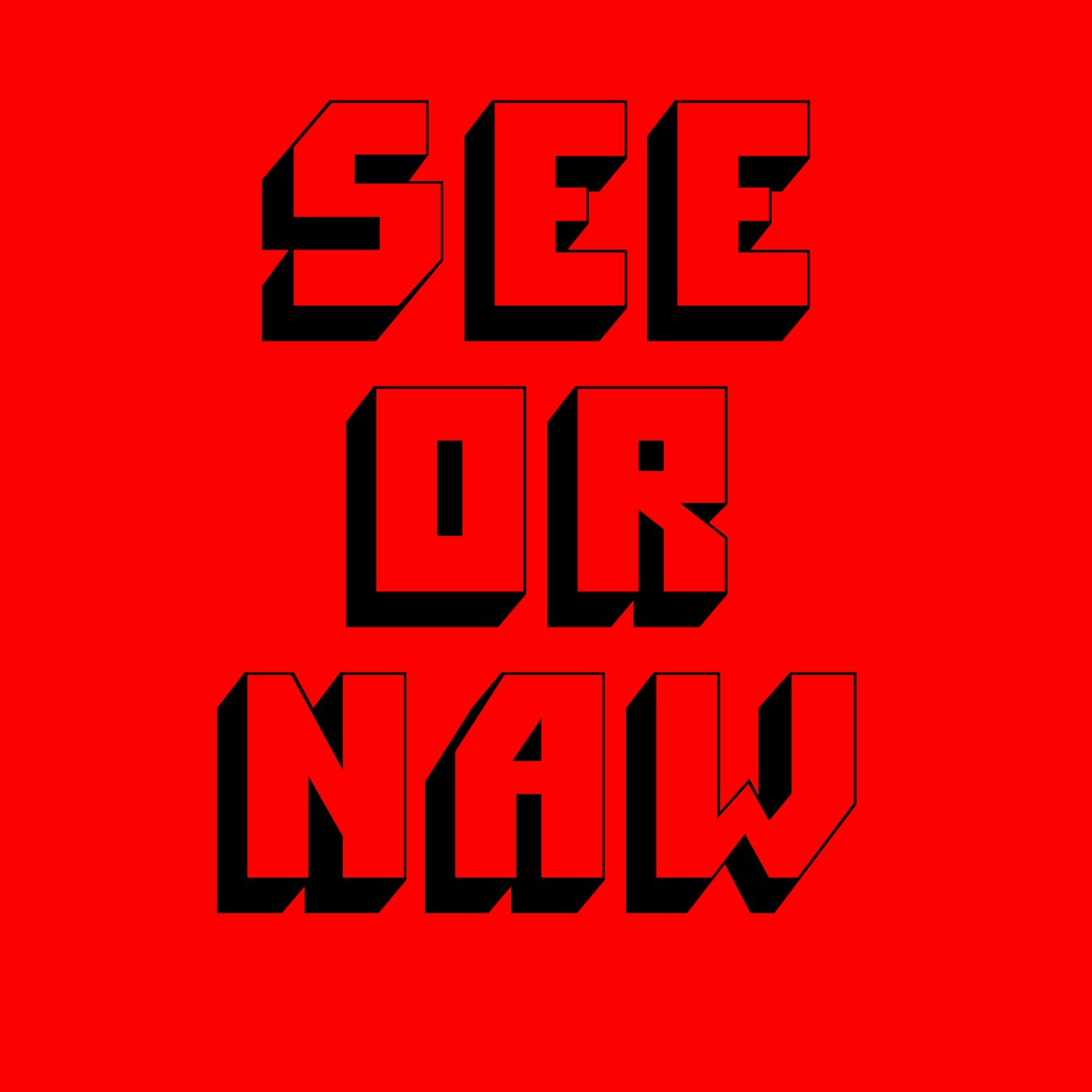 See or Naw - Princess Cyd