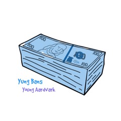 Yung Bans - BLUES feat. Young Aardvark