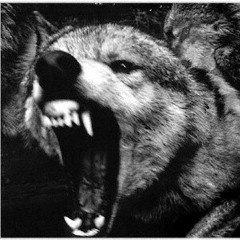 Por nuestrxs compañerxs