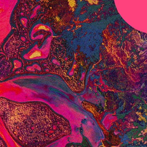 Prototype - Tame Impala