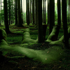 Memories Of Sherwood