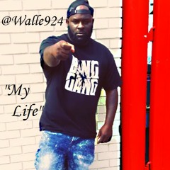 My Life -Walle924