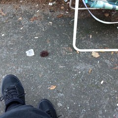 6.4 trap - 2017-10-29, 9.31 PM