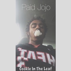 Cookie In The Leaf Ft. Sleazy Baby