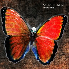 Schretterling (Hard Minimal Techno)