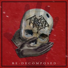 Re - Decomposed