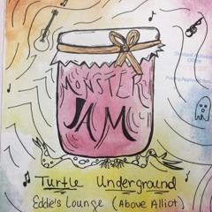 Bad Ideas (Defiance, Ohio Cover) [Live at Turtle Underground]